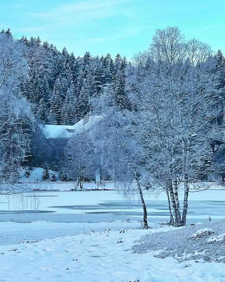 Lakeside Apartments Seefeld Seefeld in Tirol Dış mekan fotoğraf